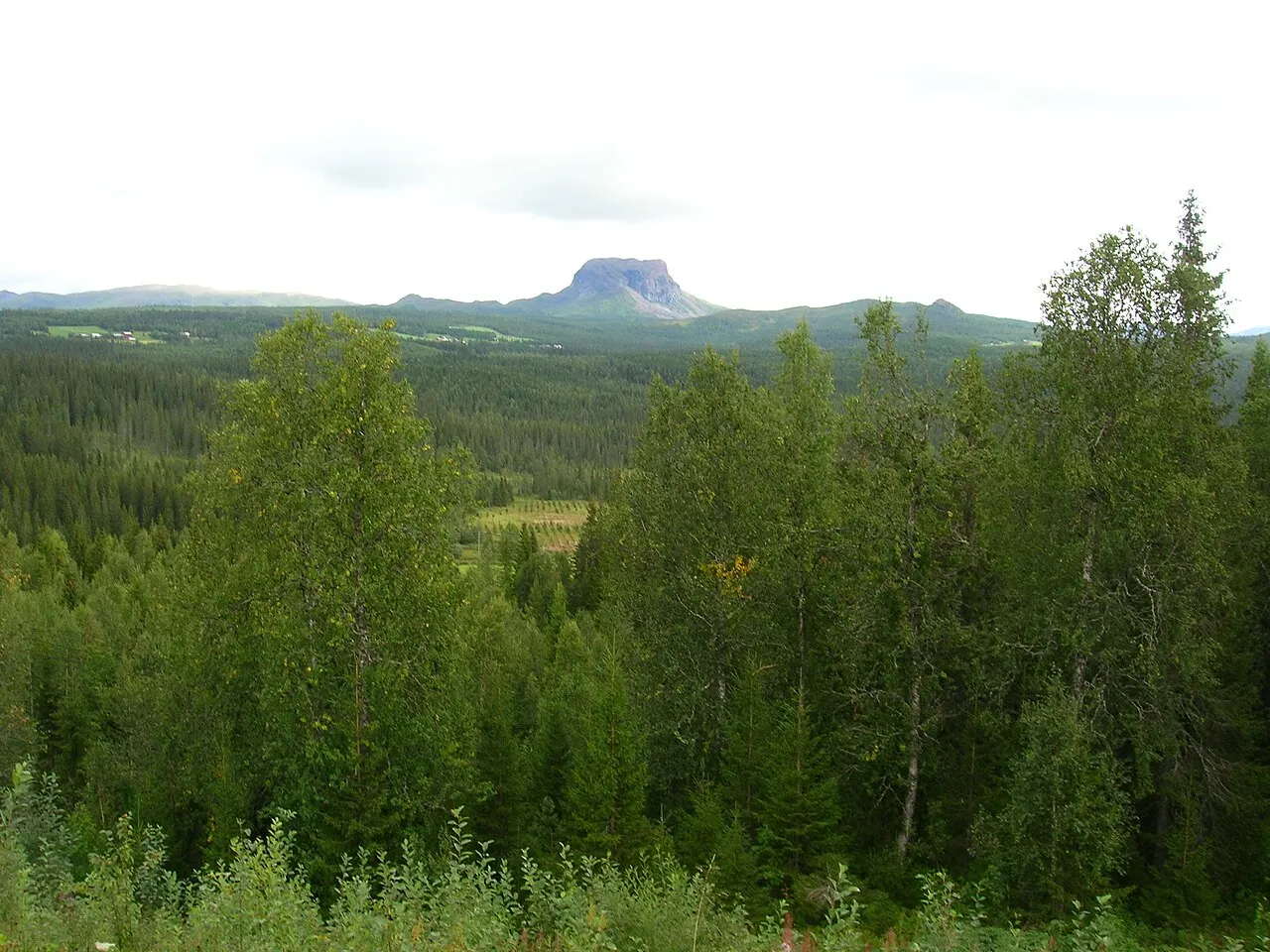 Bilde av Aarborte – Hattfjelldal (Nordland – Nordlánnda)
