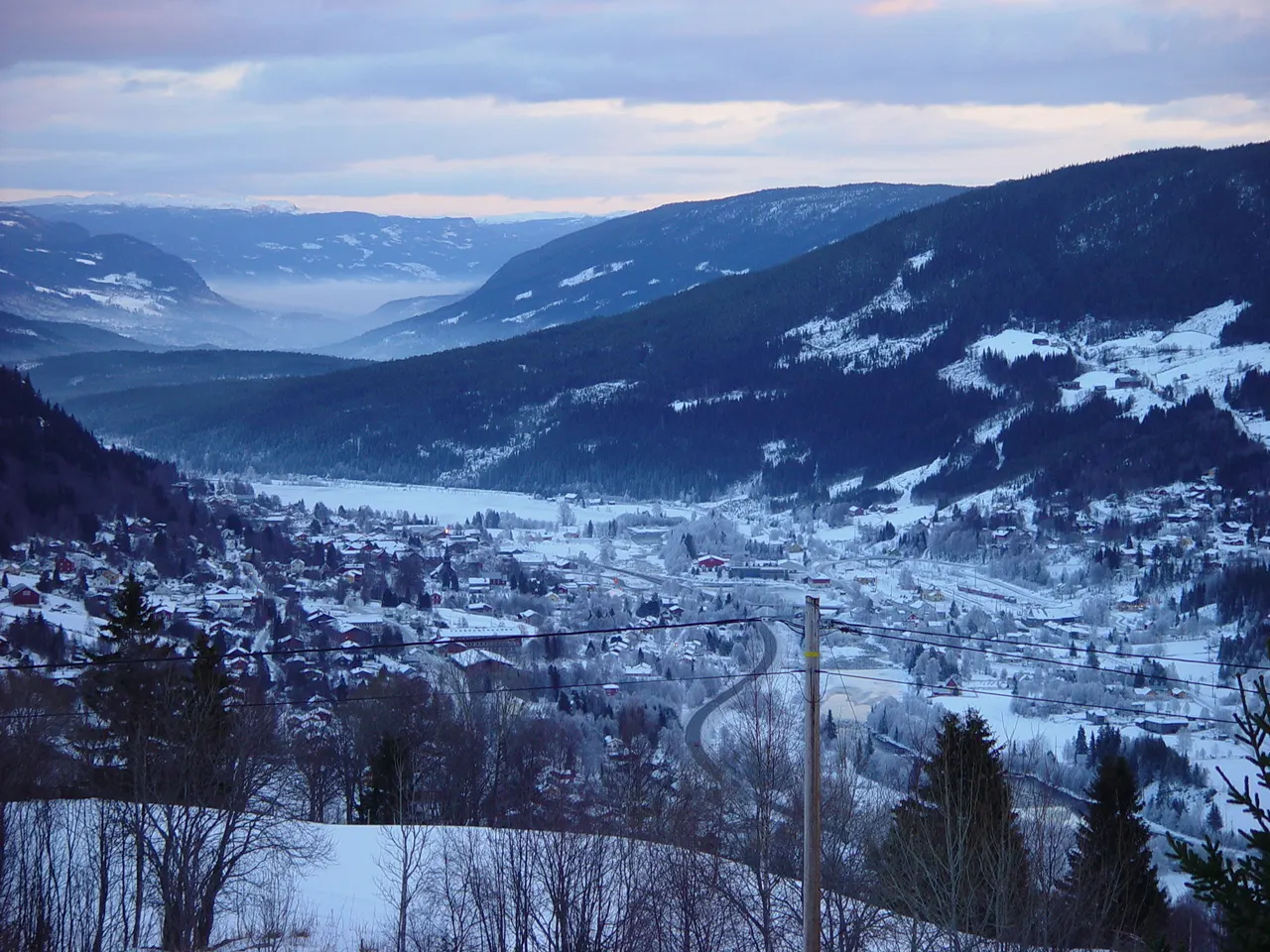 Bilde av Ål (Buskerud)