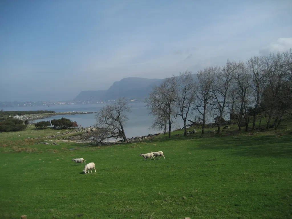 Bilde av Askje (Rogaland)