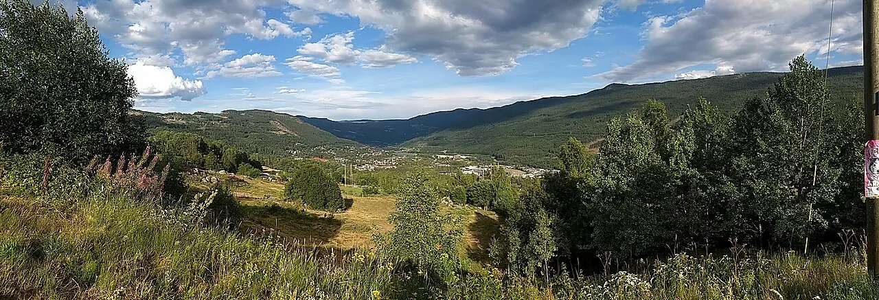 Bilde av Gol (Buskerud)