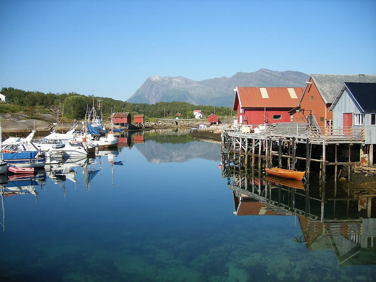 Bilde av Inndyr (Nordland – Nordlánnda)