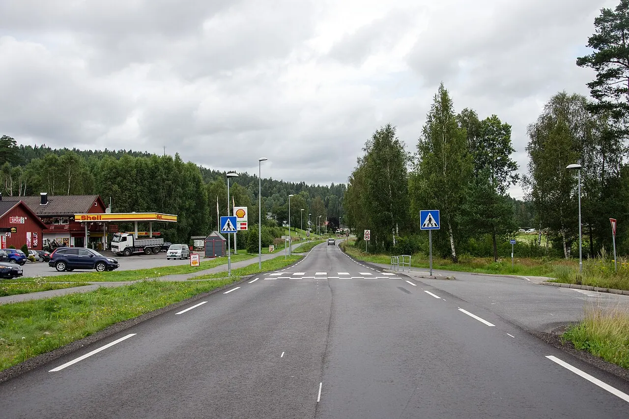 Vestfolds fylkesvei 305 Kodalveien i Kodal sentrum