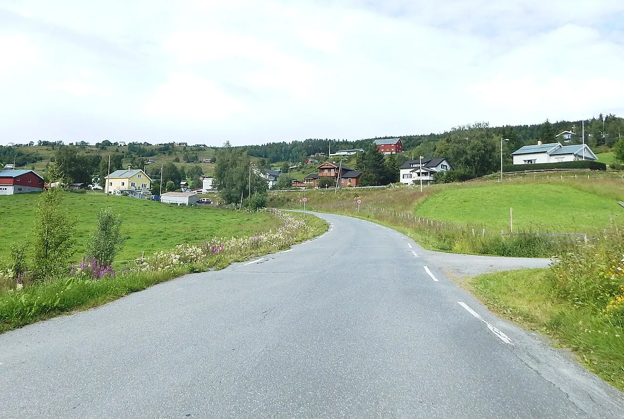 Garlivegen på Leira
