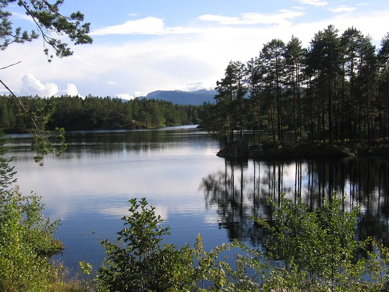 Bilde av Nissedal (Telemark)