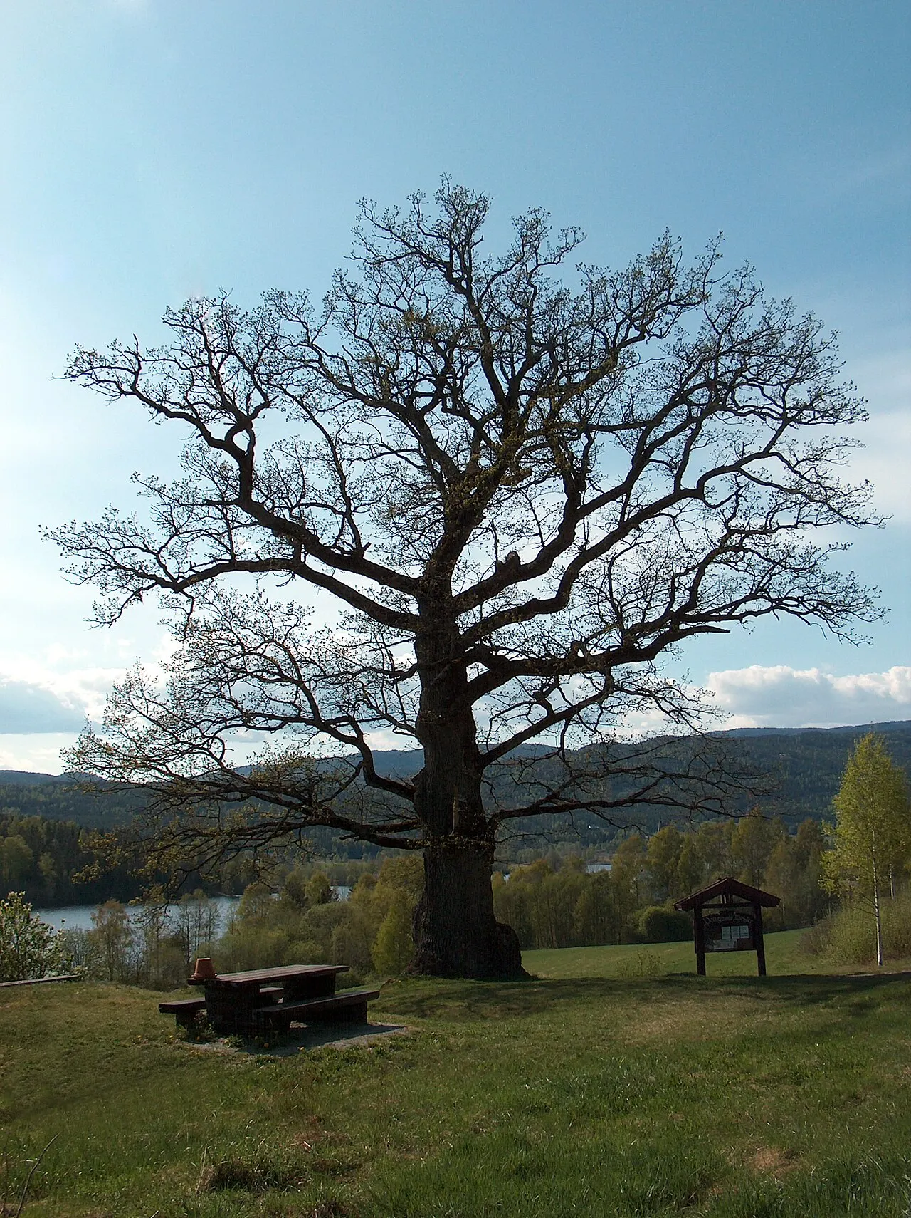 Bilde av Noresund (Buskerud)