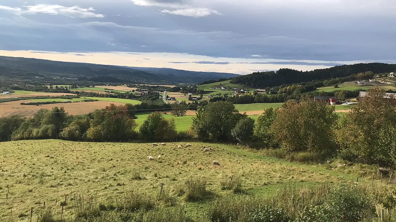 Bilde tatt fra Liavegen i Øverbygda.