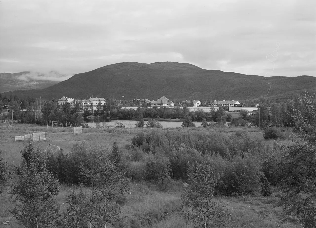 Bildet er hentet fra Nasjonalbibliotekets bildesamling. Anmerkninger til bildet var: Fotograf: L.S Øverbygd, Målselv, Troms