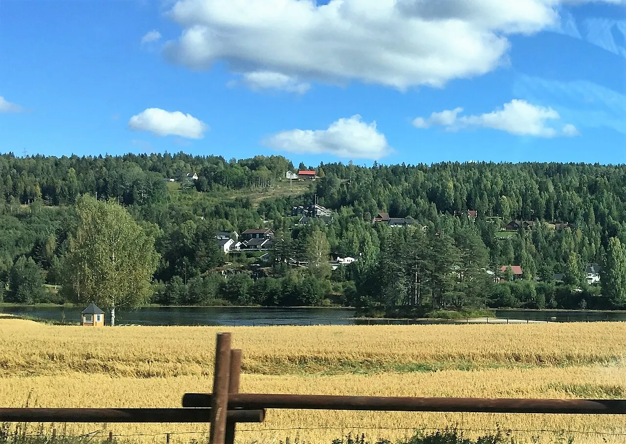 Bilde av Svene (Buskerud)